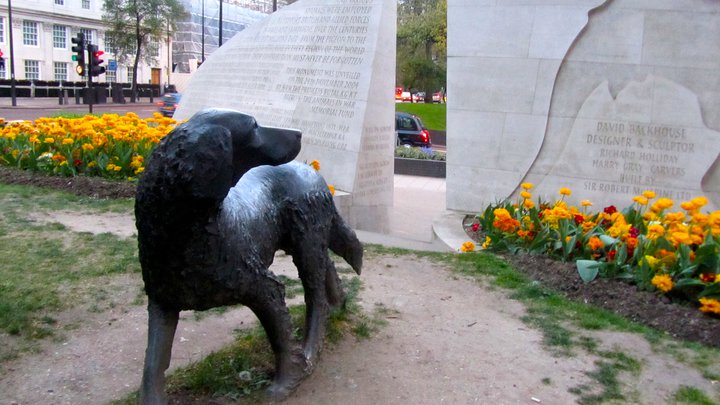 Image of the Animals in War memorial, Park Lane, London (taken by Cat Morley! -www.catmorley.com)